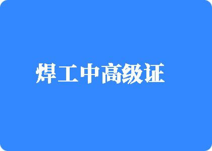 男女人热逼视频焊工中高级证